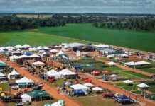 Agrocom 2026: Expectativas e negócios para a região de Cerejeiras