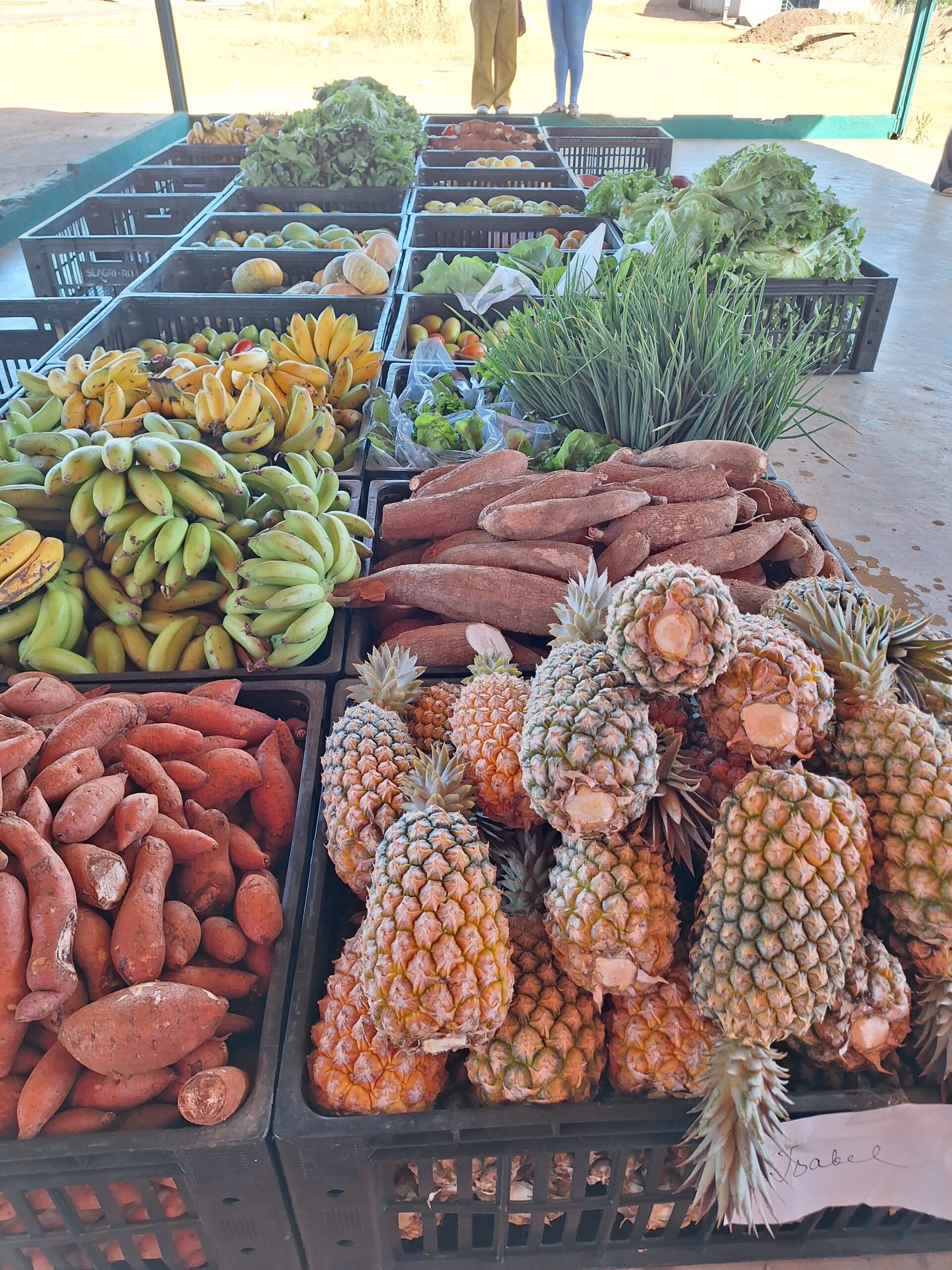 Agricultura Familiar